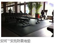 安托防震地垫